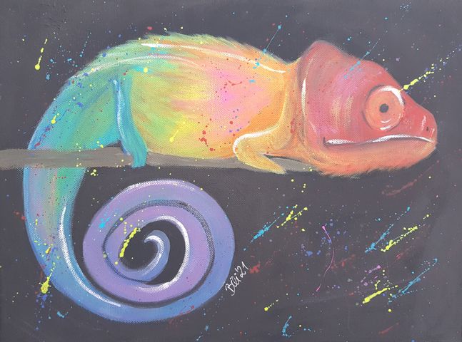 Colourful Cameleon 